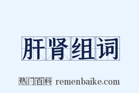 肝肾组词是什么意思的图片